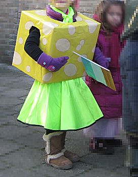 Blokje kaas carnaval pakje