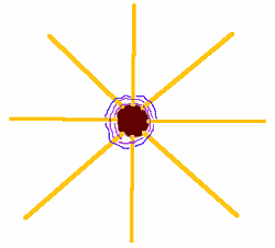 Spinnenweb met kastanje