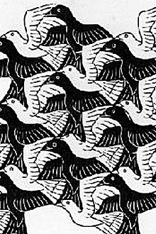 Vliegende vogels (Stijl Escher)