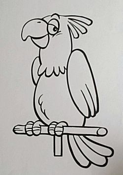 Wieg De andere dag Betekenis Knutselcategorie: Knippen en plakken: Papegaai met echte veren