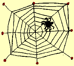 spinweb