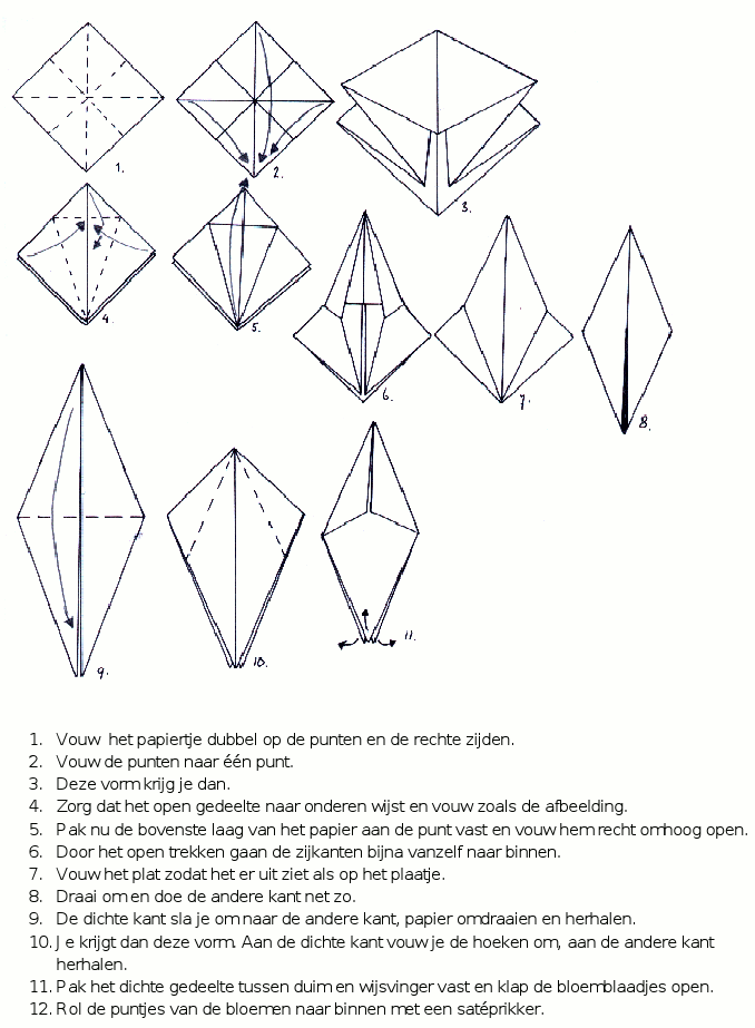 vouwschemahyacint